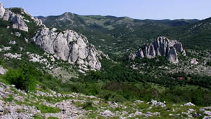 pp velebit